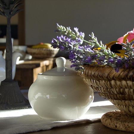 Le Renard D'Introd Bed & Breakfast Bagian luar foto