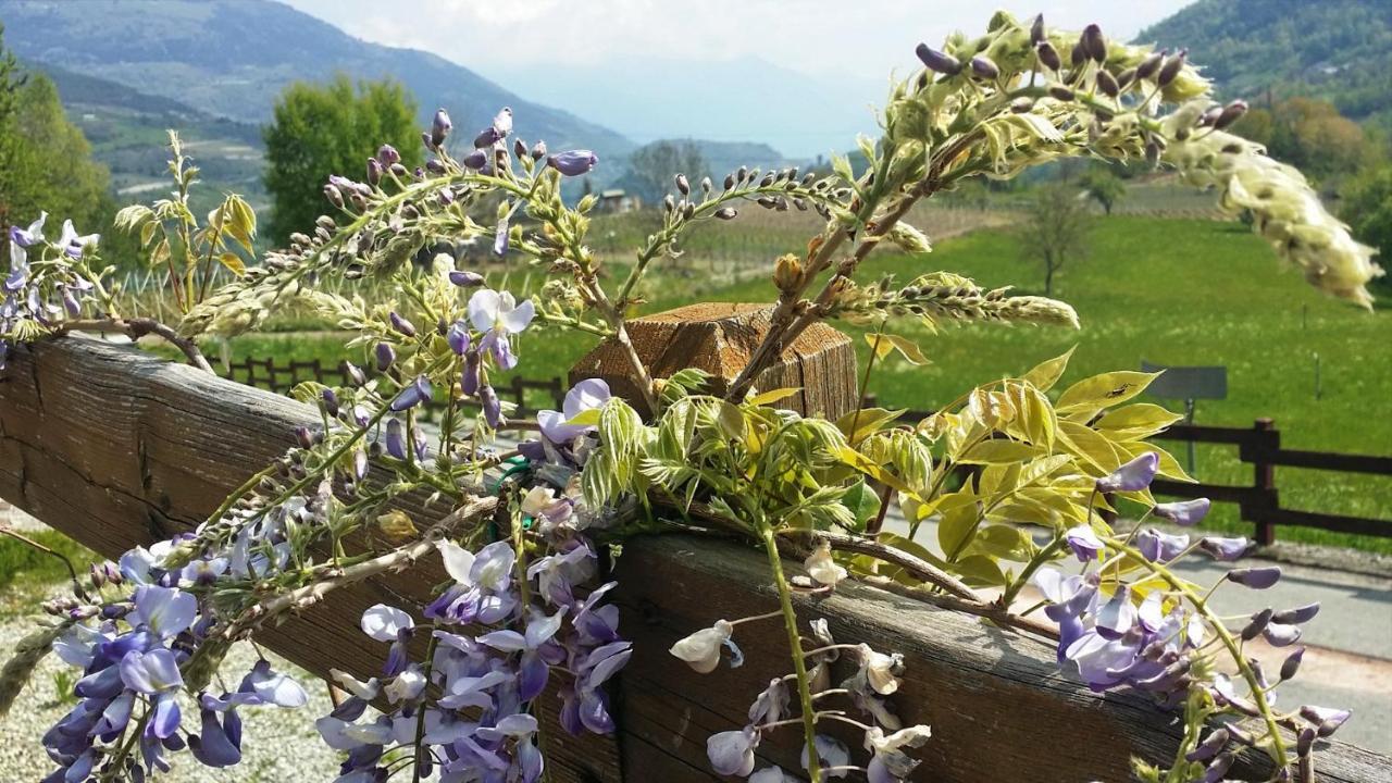Le Renard D'Introd Bed & Breakfast Bagian luar foto