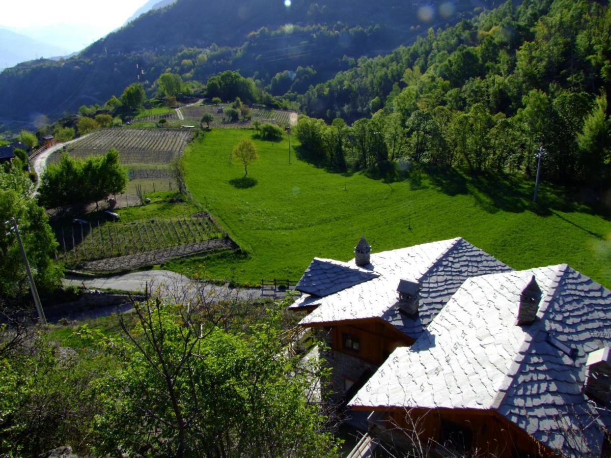 Le Renard D'Introd Bed & Breakfast Bagian luar foto